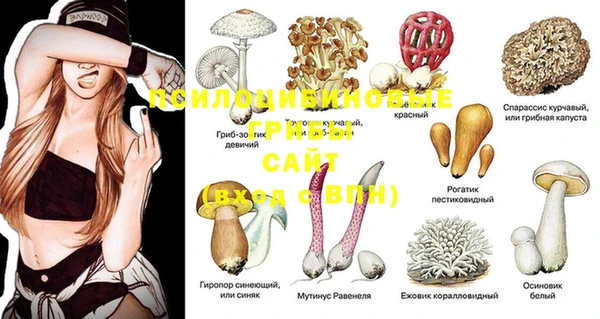 MDMA Premium VHQ Вяземский